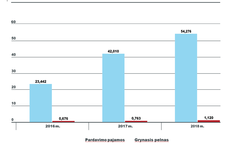 Pasiruošimas krizėms – sugebėjimas prisitaikyti